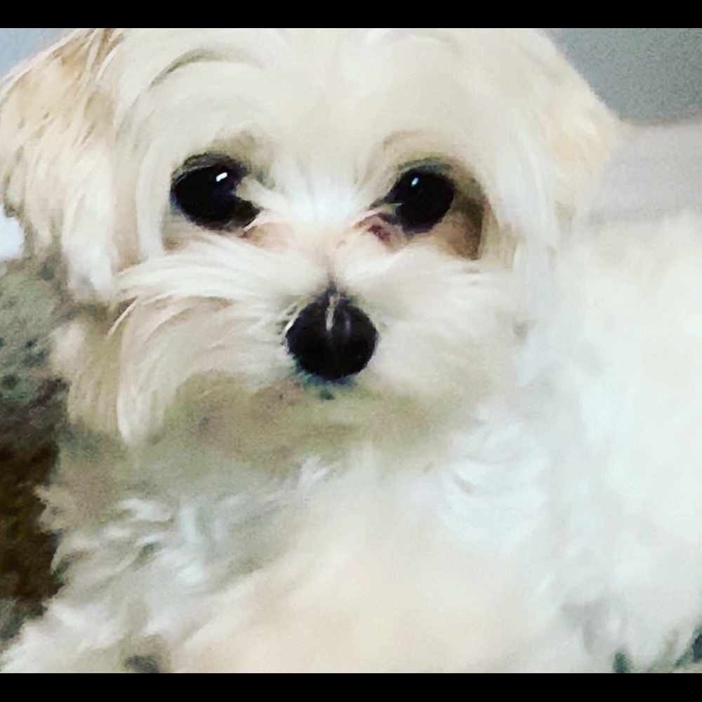 Meet your Posher, Carly ritz